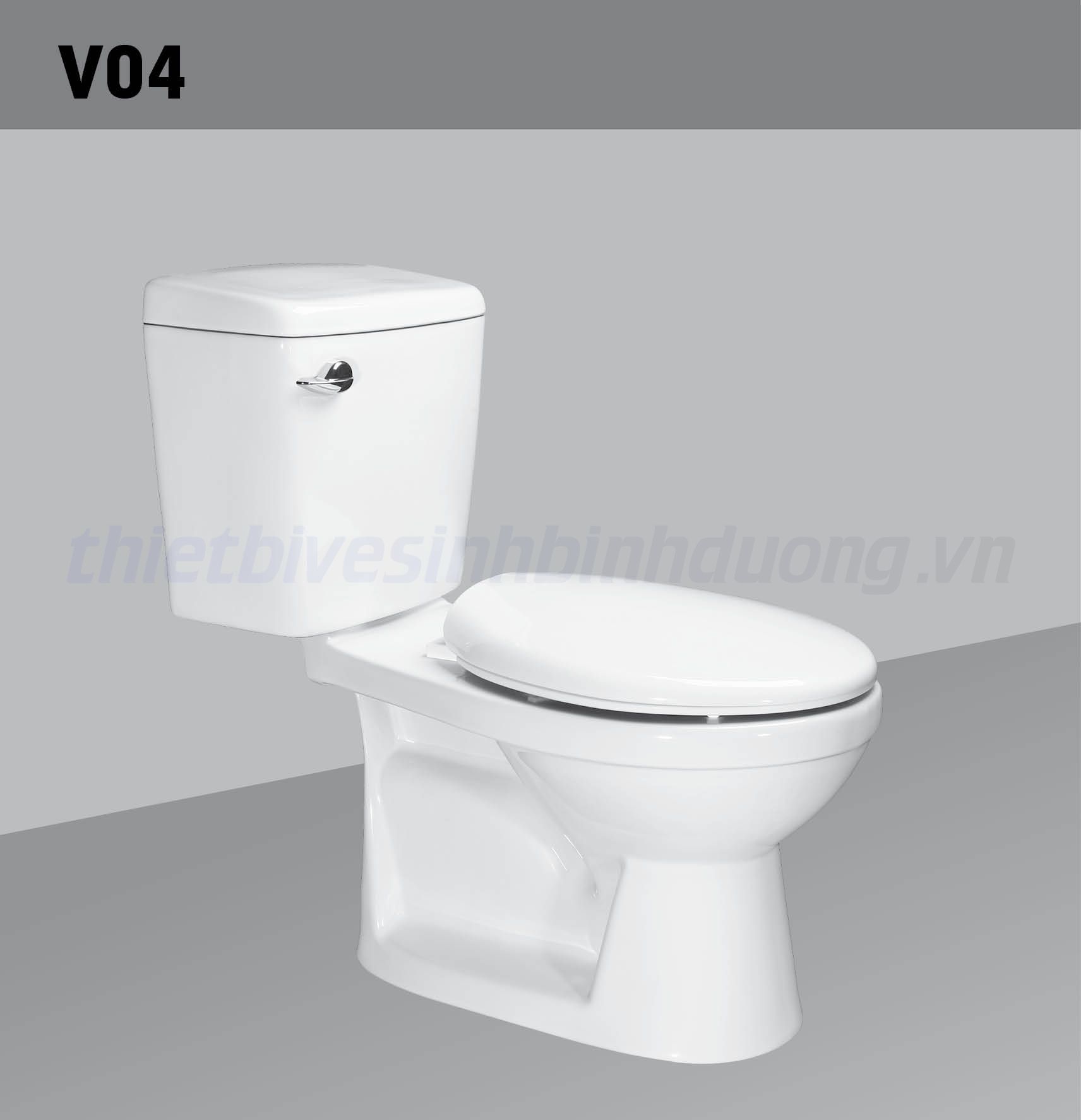 Bồn cầu sứ Hảo Cảnh HC V04